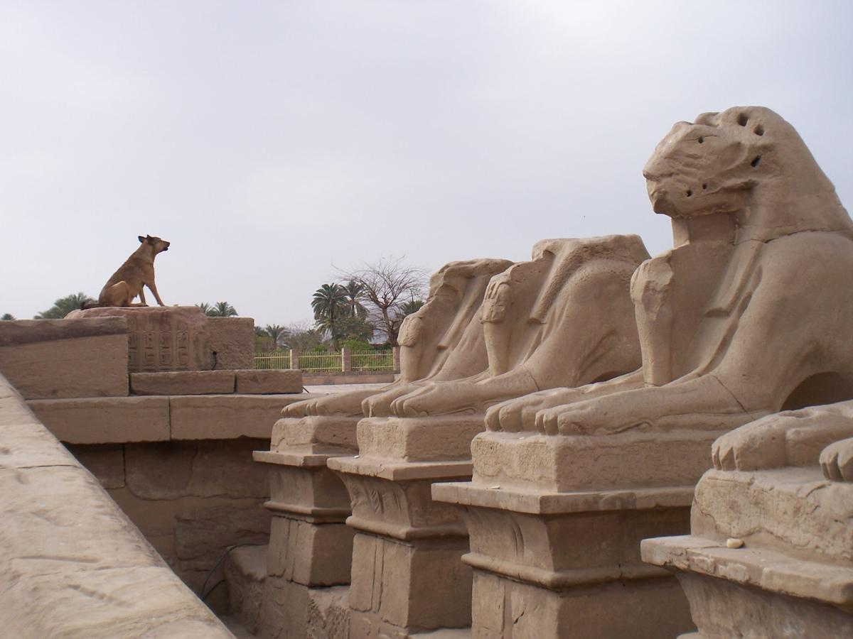 Luxor Vip Apartments Bagian luar foto